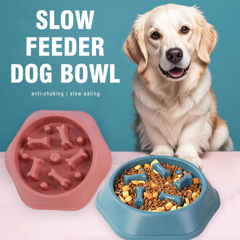 Comedero Antivoracidad Para Perro - Plato Antideslizante