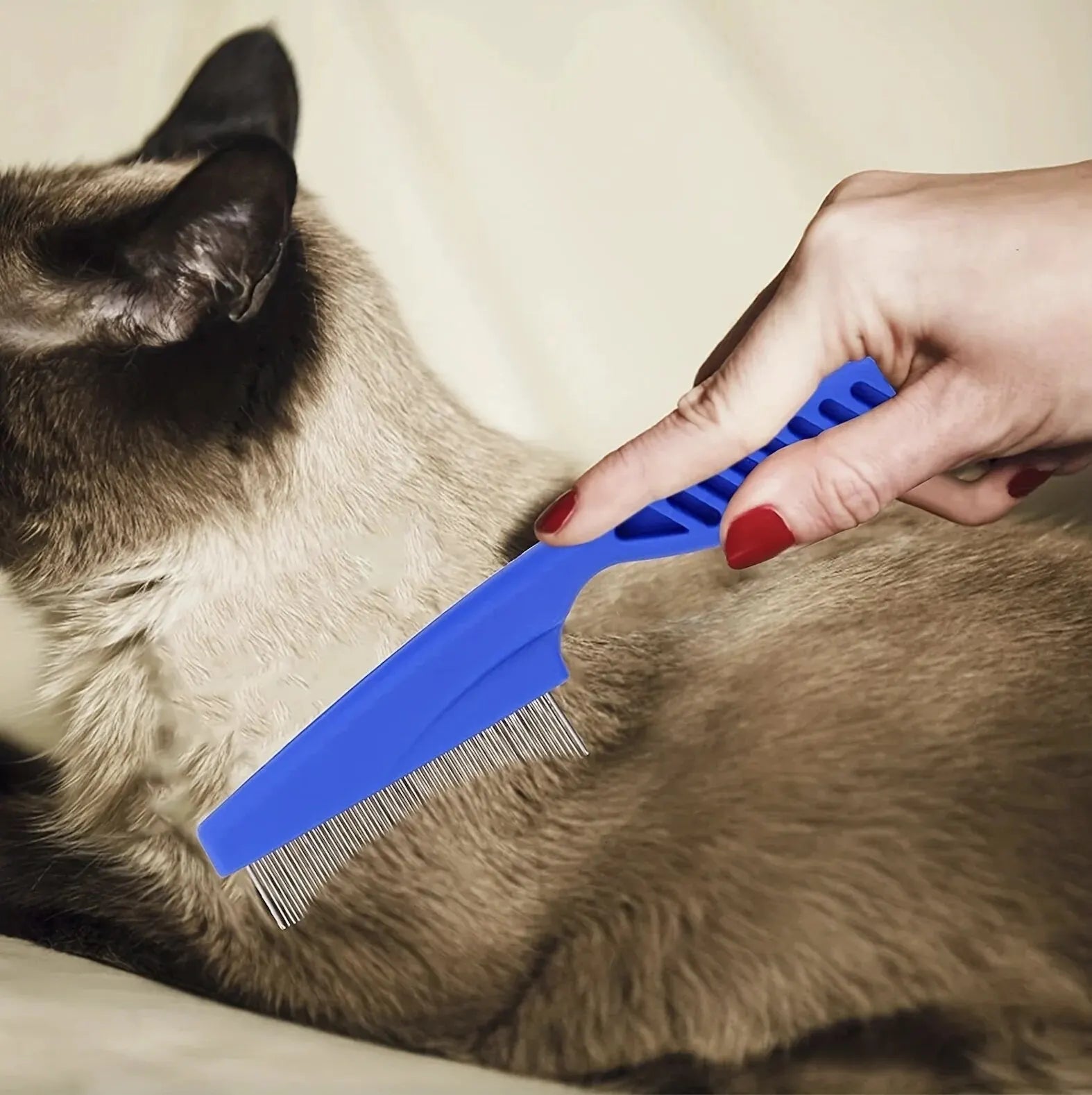 Kit De Cepillado 6 En 1 Para Perros Y Gatos - Quita Nudos Y Pelo Muerto
