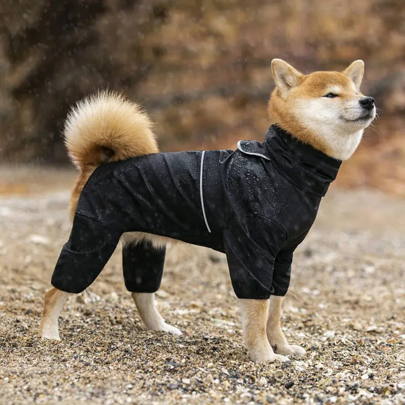 Chubasquero para perro negro