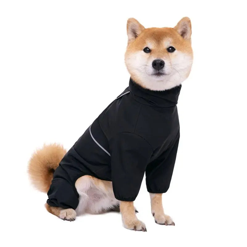 Chubasquero para perro negro puesto