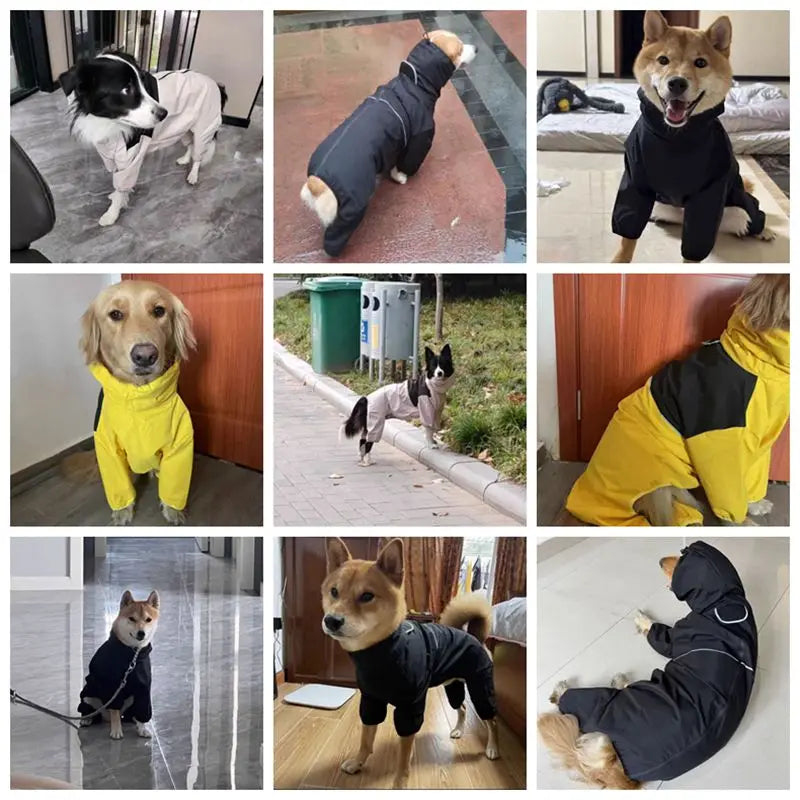 Chubasquero para perro colores disponibles