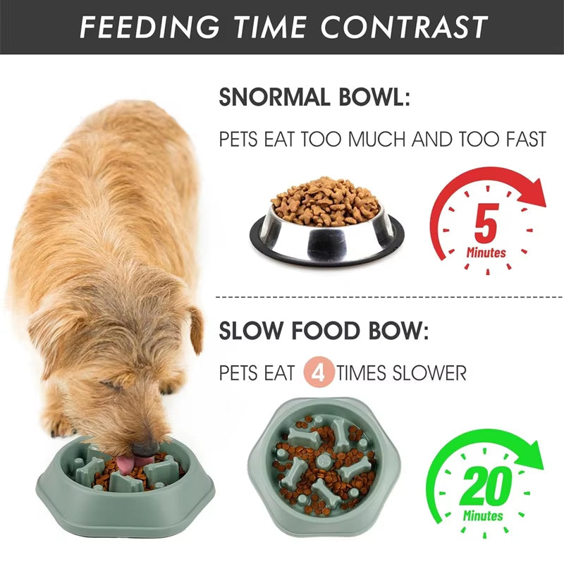 Comedero Antivoracidad Para Perro - Plato Antideslizante