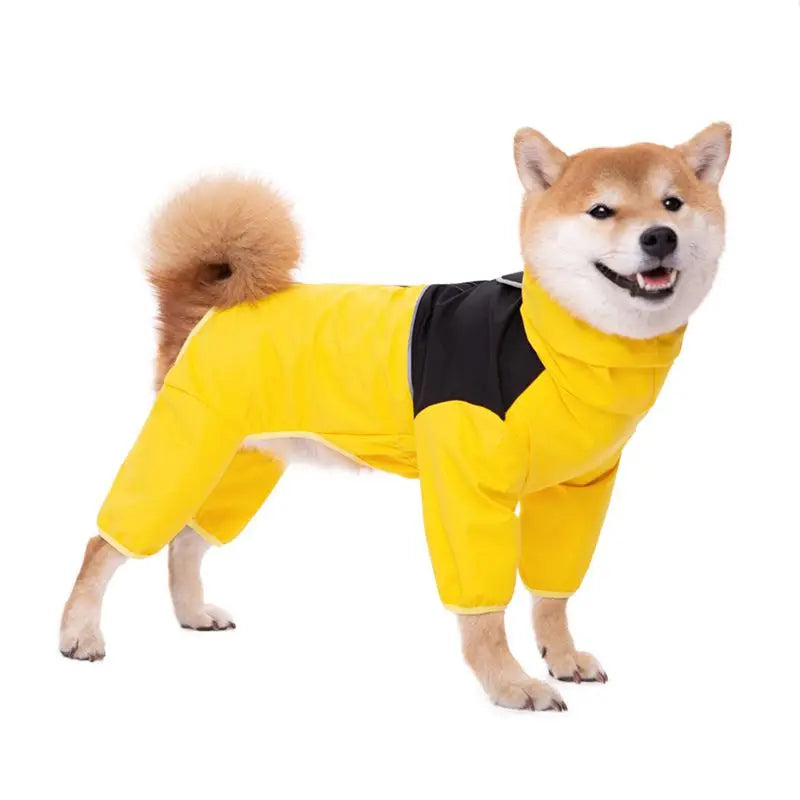 Chubasquero para perro amarillo puesto