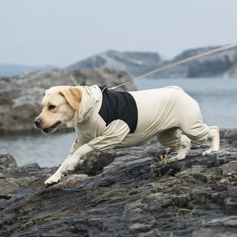 Chubasquero impermeable para perro beige