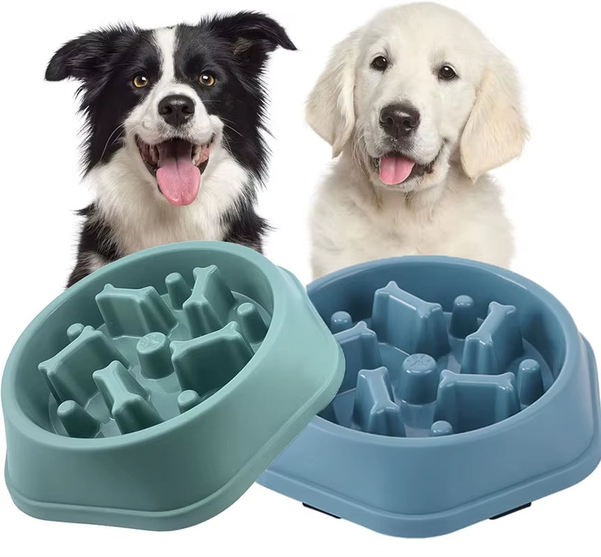 Comedero Antivoracidad Para Perro - Plato Antideslizante