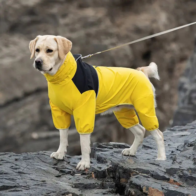 Chubasquero impermeable para perro amarillo